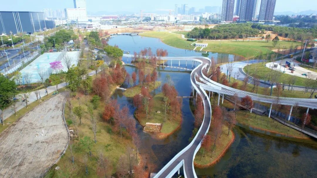 免费开放！龙岗新增一文体公园！攻略来啦→