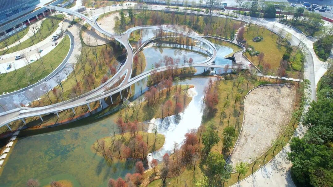 免费开放！龙岗新增一文体公园！攻略来啦→