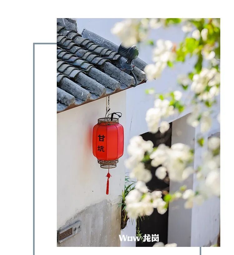 龙岗的春天，美得不讲道理！这份赏花地图快收藏→