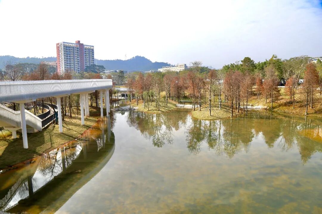 免费开放！龙岗新增一文体公园！攻略来啦→