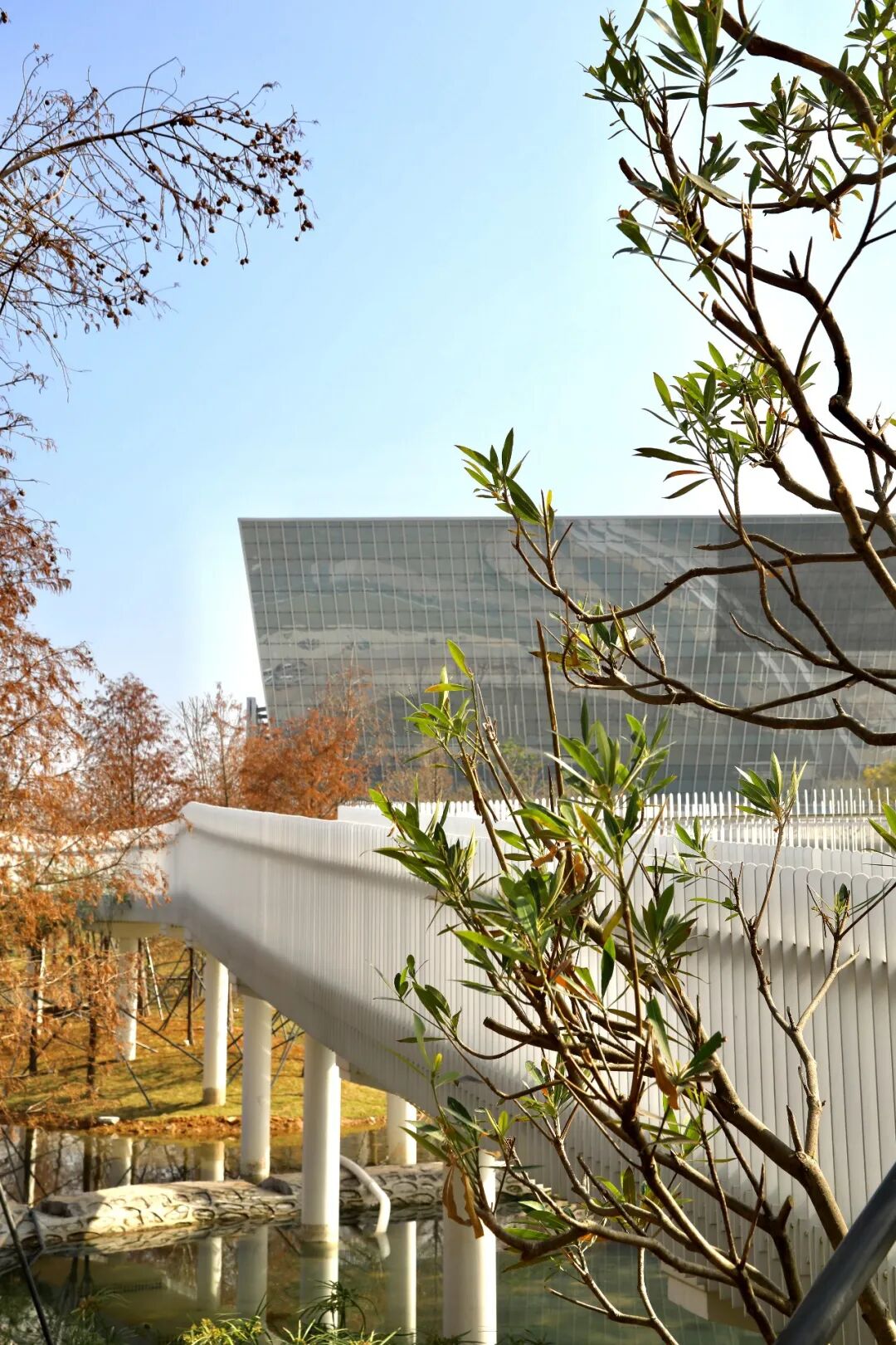 免费开放！龙岗新增一文体公园！攻略来啦→