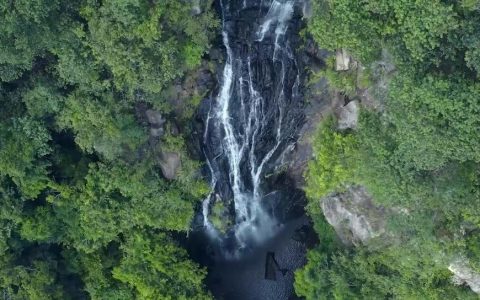 来马峦山尽情“森呼吸”，假期约起→ 附最新预约方式