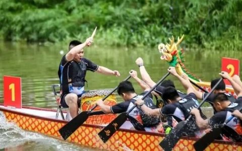 深圳这些龙舟赛定档！本周五可看！