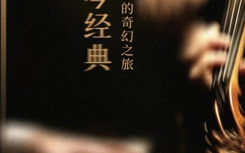 【公益演出】五百年键盘与小提琴经典：一场跨越世纪与大洲的奇幻之旅