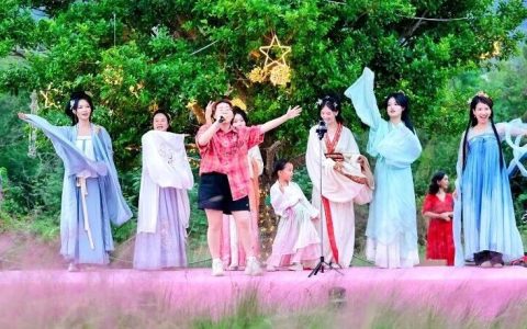 本周末！到深圳大鹏半岛南澳粉黛花海体验“国风+音乐”盛宴！