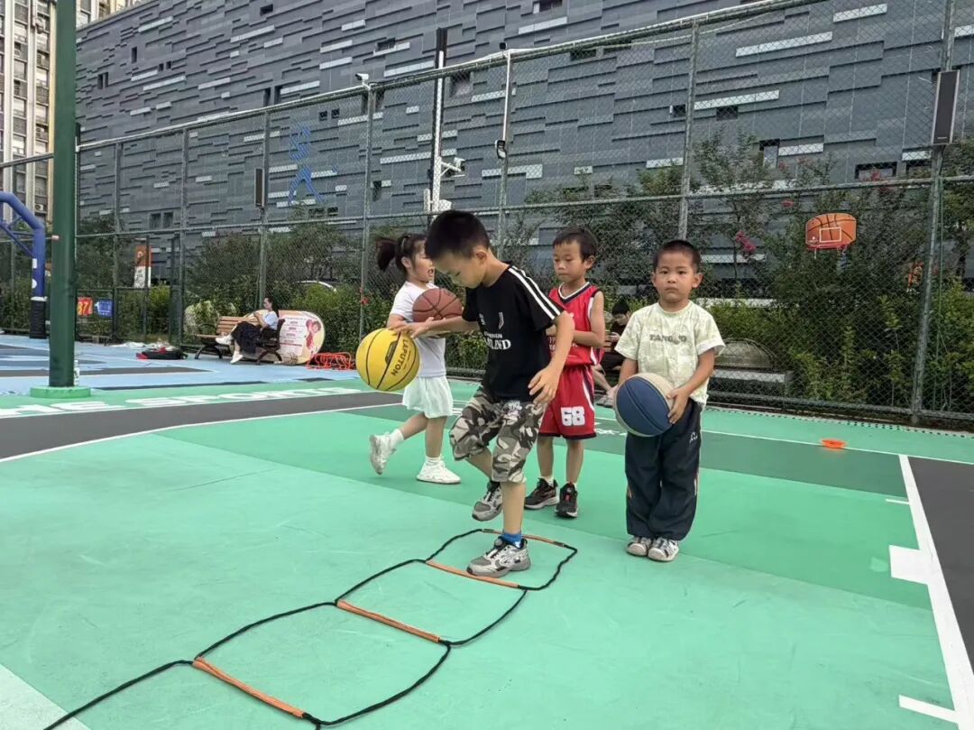 宝安图书馆新安街道分馆公益培训免费学，报名从速、名额有限！